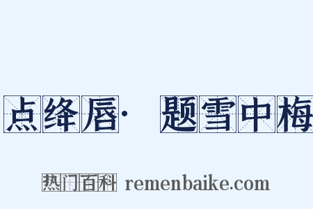 点绛唇·题雪中梅是什么意思的图片